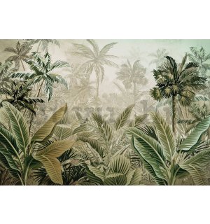 Vlies fotótapéta: Trópusi növényzet - 416x254 cm