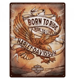 Fémtáblák: Harley-Davidson Born to Ride Ride to Live - 30x40 cm