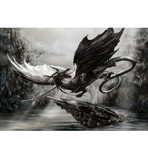 Fotótapéta: Black Dragon - 184x254 cm
