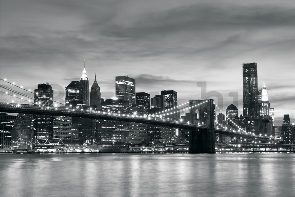 Fotótapéta: Brooklyn Bridge - 254x368 cm