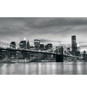 Fotótapéta: Brooklyn Bridge - 254x368 cm