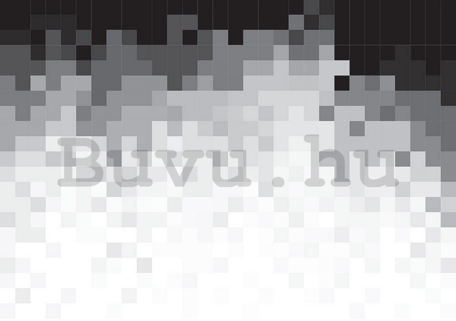 Fotótapéta: Fekete-fehér pixelek (1) - 184x254 cm