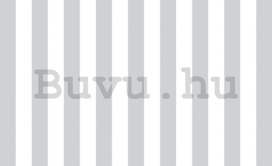 Fotótapéta: Szürke-fehér csíkok (1) - 184x254 cm