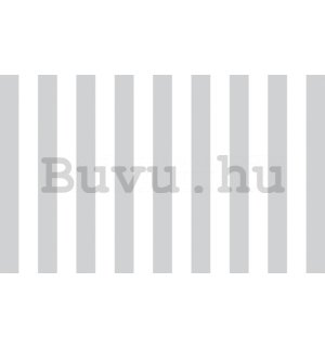 Fotótapéta: Szürke-fehér csíkok (1) - 254x368 cm