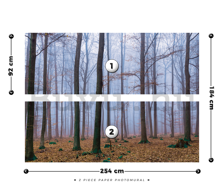 Fotótapéta: Ködbe borult erdő (1) - 184x254 cm