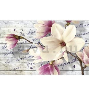 Fotótapéta: Magnolia (3) - 254x368 cm