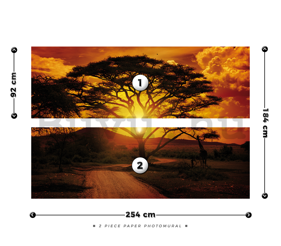 Fotótapéta: Afrikai naplemente - 184x254 cm