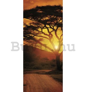 Fotótapéta: Afrikai naplemente - 211x91 cm