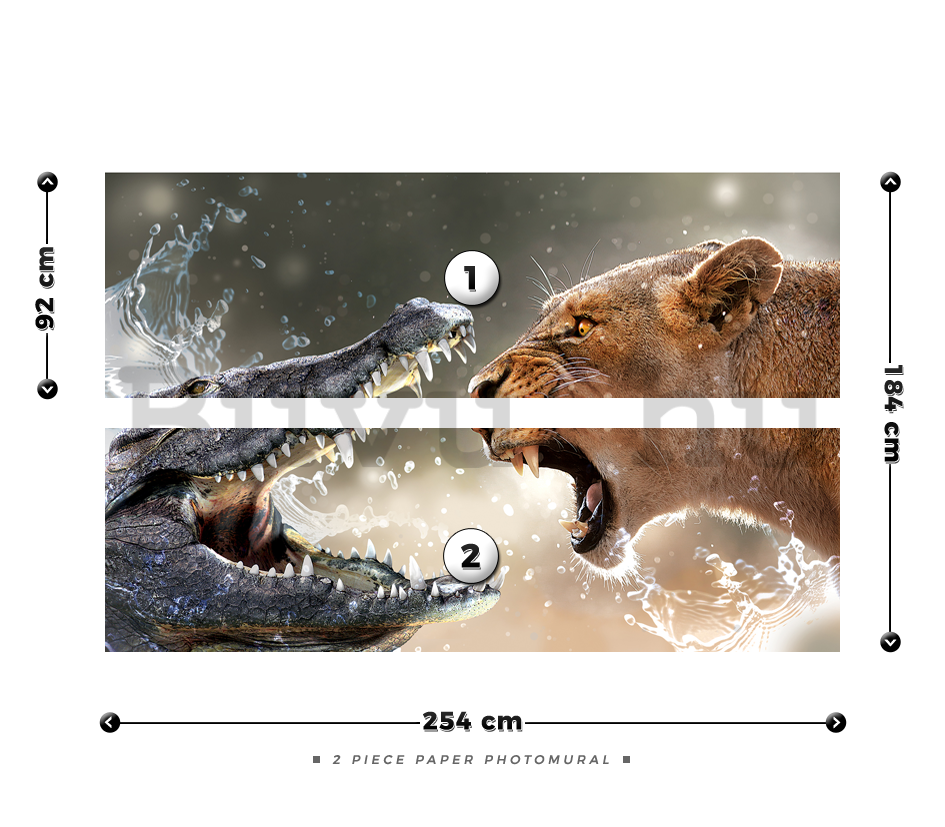 Fotótapéta: Oroszlán és krokodil - 184x254 cm