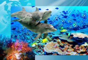 Fotótapéta: Víz alatti világ - 254x368 cm