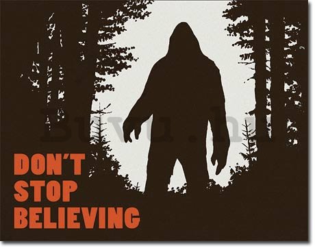 Fémplakát - Don't Stop Believing
