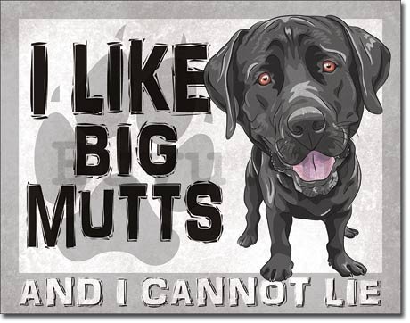 Fémplakát - I Like Big Mutts