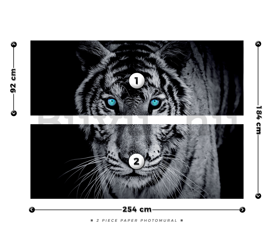 Fotótapéta: Fekete-fehér tigris - 184x254 cm