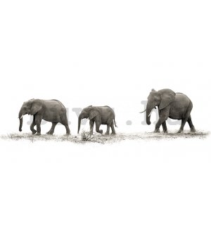 Vászonkép - Mario Moreno, The Elephants