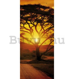 Öntapadós fotótapéta: Afrikai naplemente - 211x91 cm
