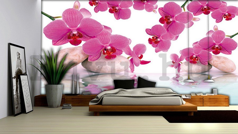 Vlies fotótapéta: Orchidea és kövek - 104x152,5 cm