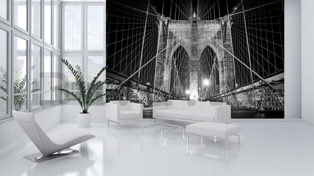 Fotótapéta: Brooklyn Bridge (černobílý detail) - 254x368 cm