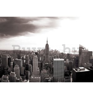 Vlies fotótapéta: Manhattan (fekete-fehér) - 104x152,5 cm