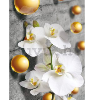 Fotótapéta: Orchidea és sárga golyók - 254x184 cm