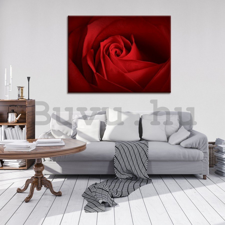 Vászonkép: Részlet a piros rózsák - 75x100 cm