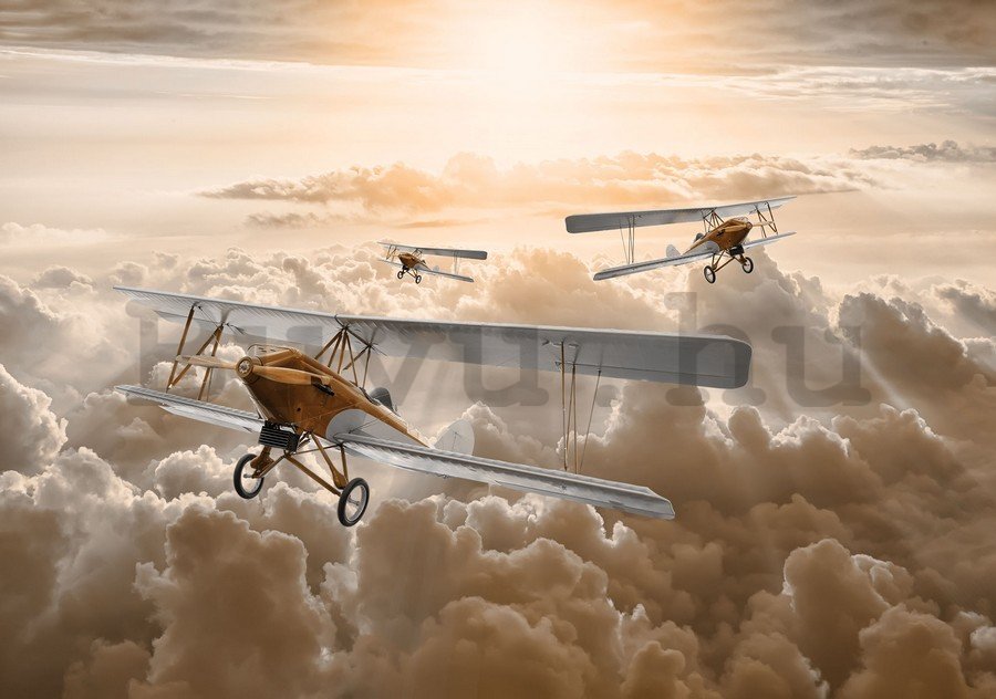 Vászonkép: Kétfedelű repülőgépek - 75x100 cm