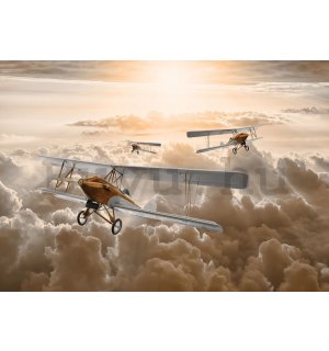 Vászonkép: Kétfedelű repülőgépek - 75x100 cm