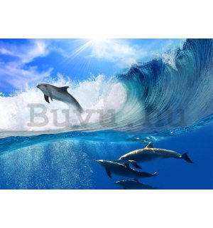 Fotótapéta: Delfinek - 184x254 cm