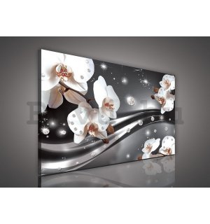 Vászonkép: Orchidea és absztrakció - 75x100 cm