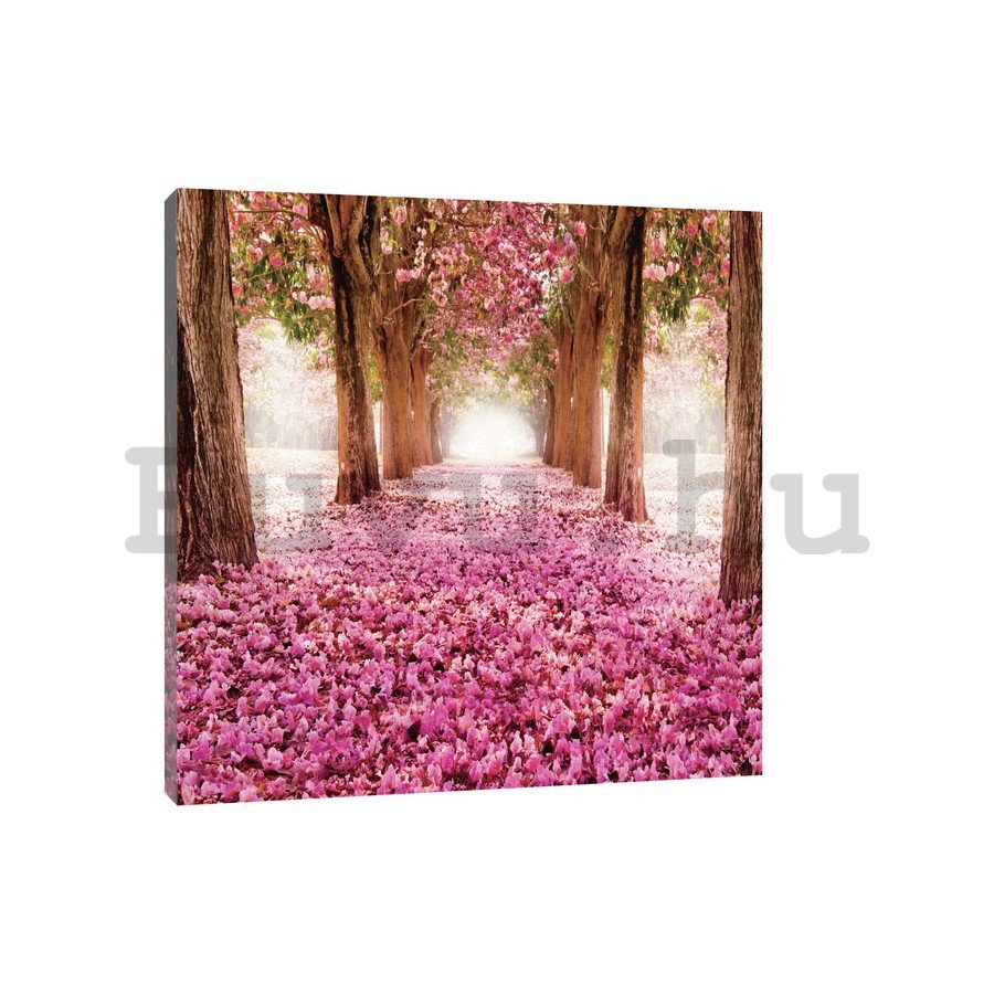 Vászonkép: Virágzó fasor (3) - 75x100 cm