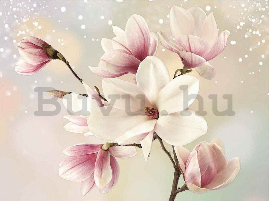 Vászonkép: Magnolia (6) - 75x100 cm