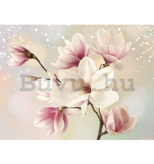 Vászonkép: Magnolia (6) - 75x100 cm