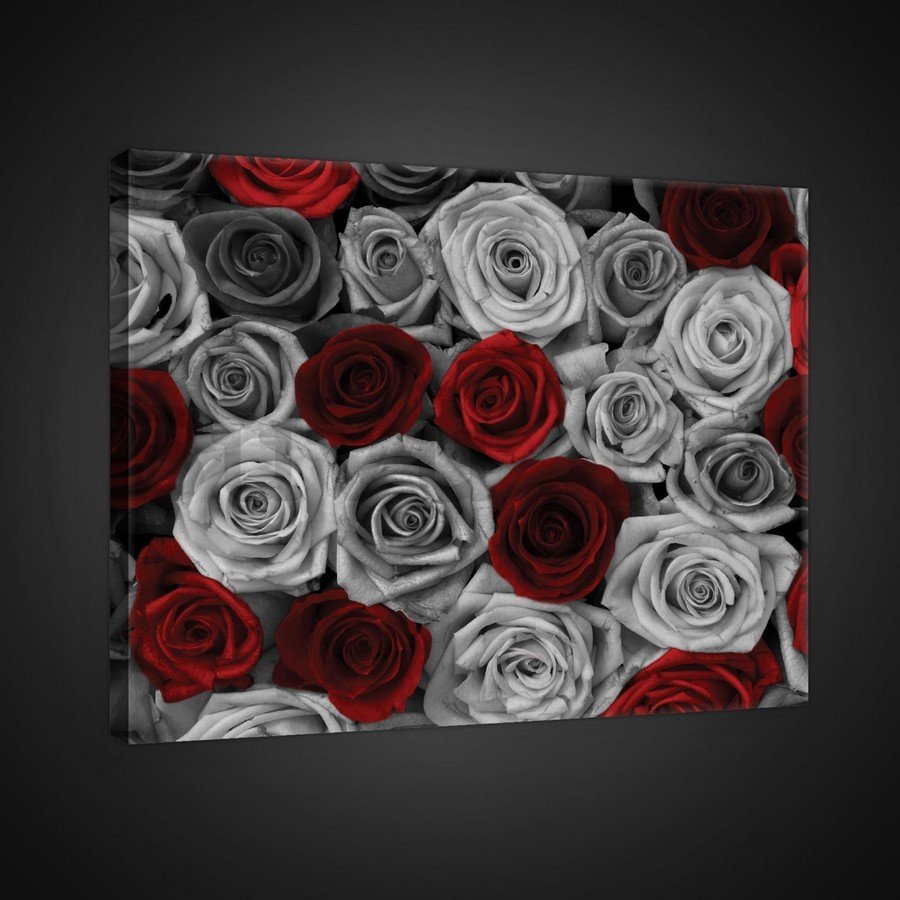 Vászonkép: Fehér és vörös rózsák (1) - 75x100 cm