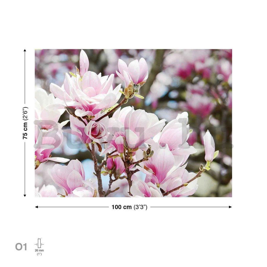 Vászonkép: Rózsaszín virágok - 75x100 cm
