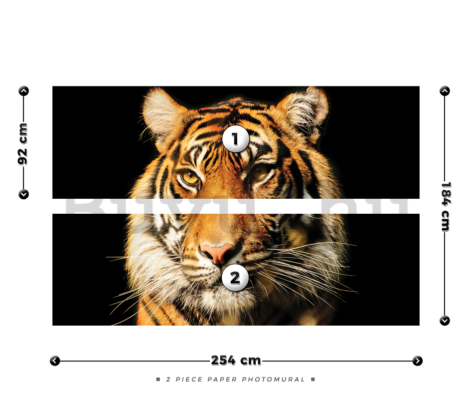 Fotótapéta: Tigris - 184x254 cm