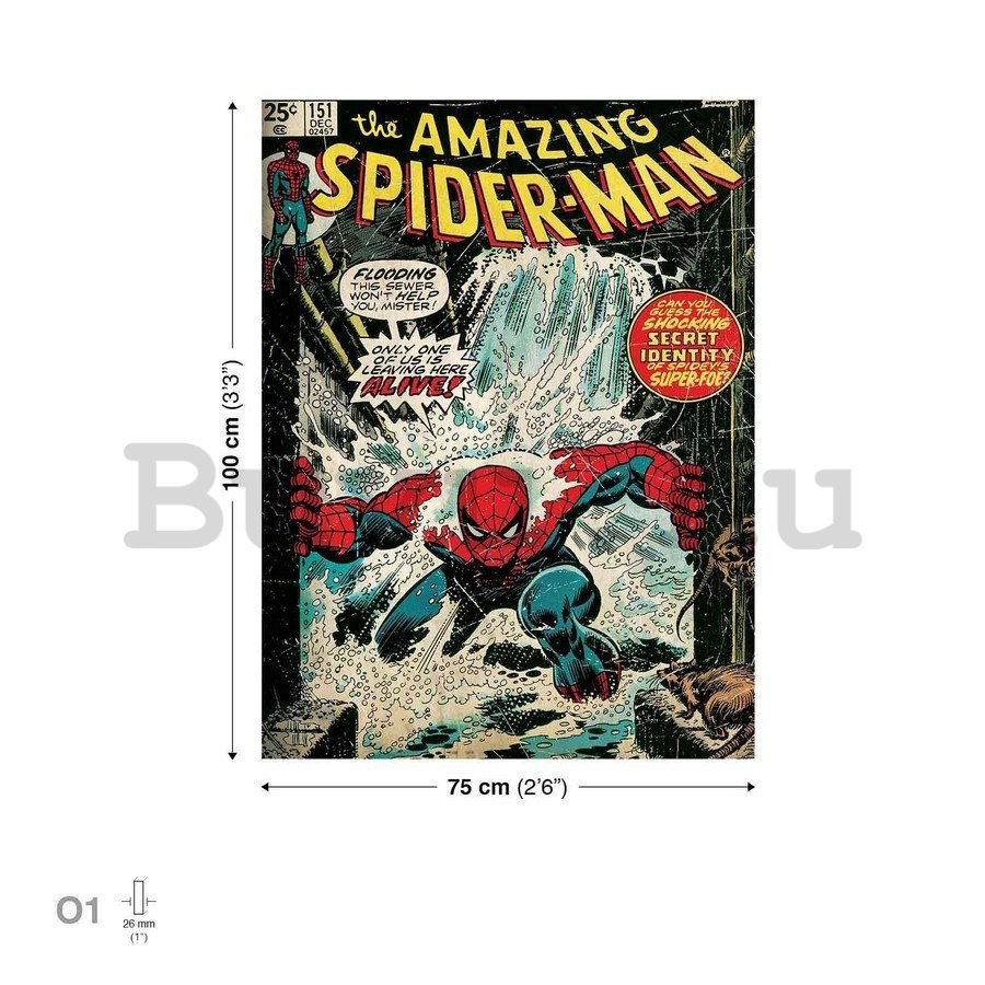 Vászonkép: Amazing Spiderman (comics) - 75x100 cm