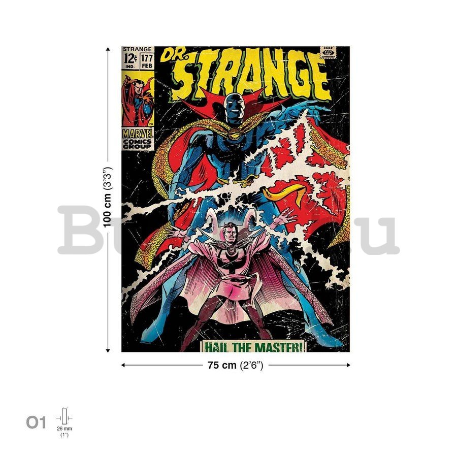 Vászonkép: Doctor Strange (comics) - 75x100 cm
