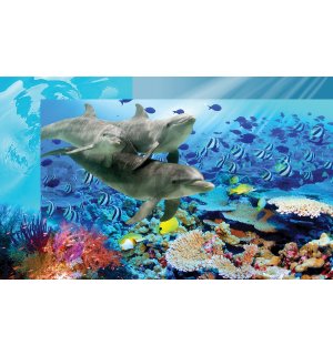 Vlies fotótapéta: Víz alatti világ - 184x254 cm