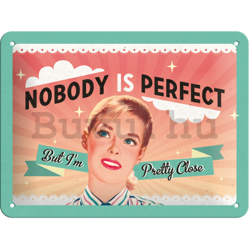 Fémplakát – Nobody Is Perfect