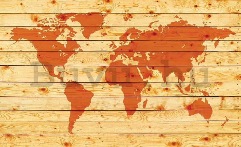 Fotótapéta: Fa világtérkép - 184x254 cm