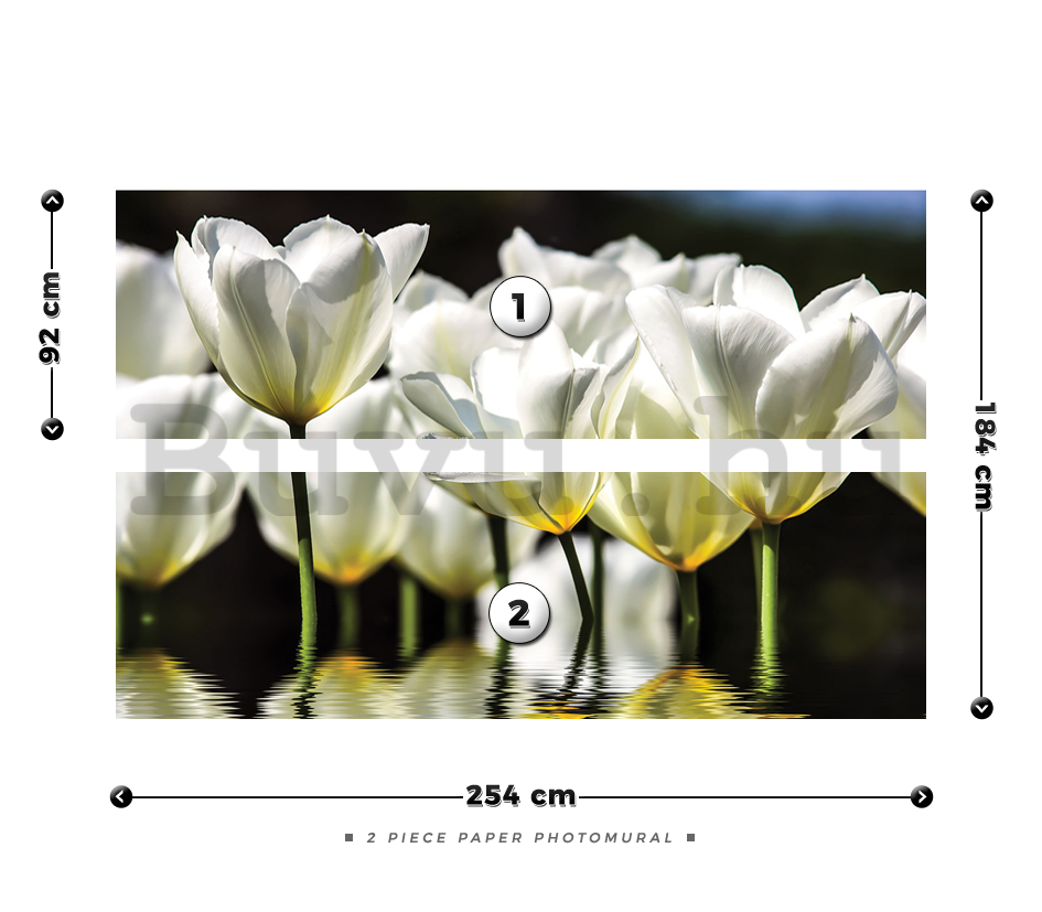 Fotótapéta: Fehér tulipánok (2) - 184x254 cm