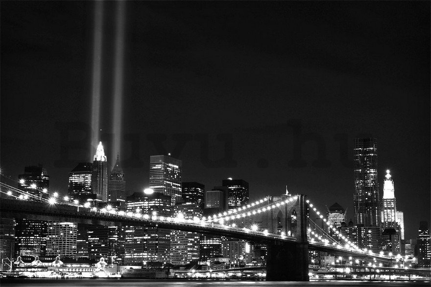 Fotótapéta: Fekete-fehér Brooklyn Bridge (2) - 184x254 cm