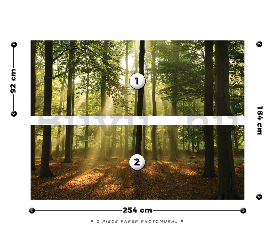 Fotótapéta: Napfény az erdőben (4) - 184x254 cm