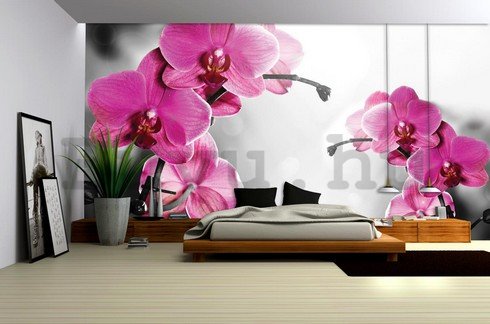Fotótapéta: Orchideák szürke háttérrel - 254x368 cm