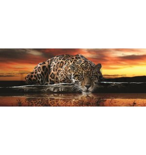 Fotótapéta: Jaguár - 104x250 cm