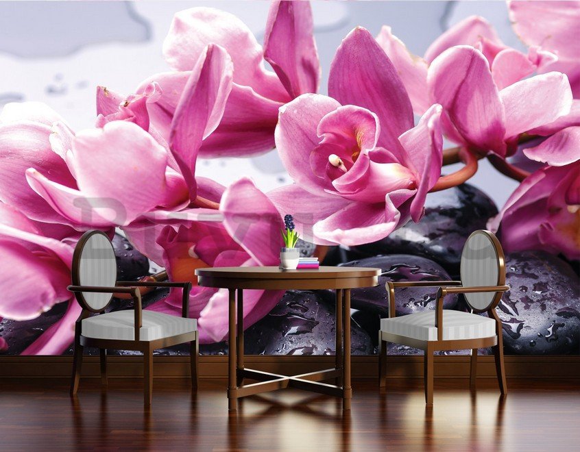 Fotótapéta: Spa kövek és rózsaszín orchideák - 254x368 cm