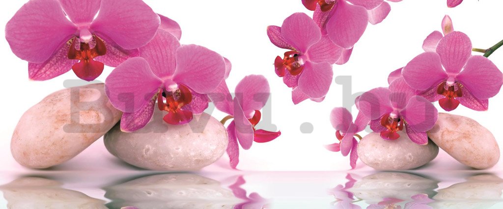 Fotótapéta: Orchidea és kövek - 104x250 cm