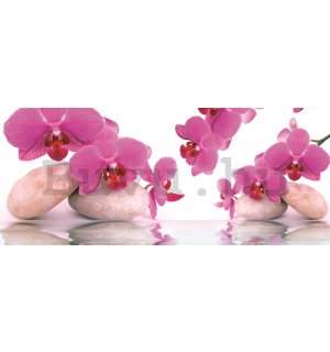 Fotótapéta: Orchidea és kövek - 104x250 cm