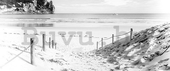 Fotótapéta: Homokos tengerpart (fekete-fehér) - 104x250 cm