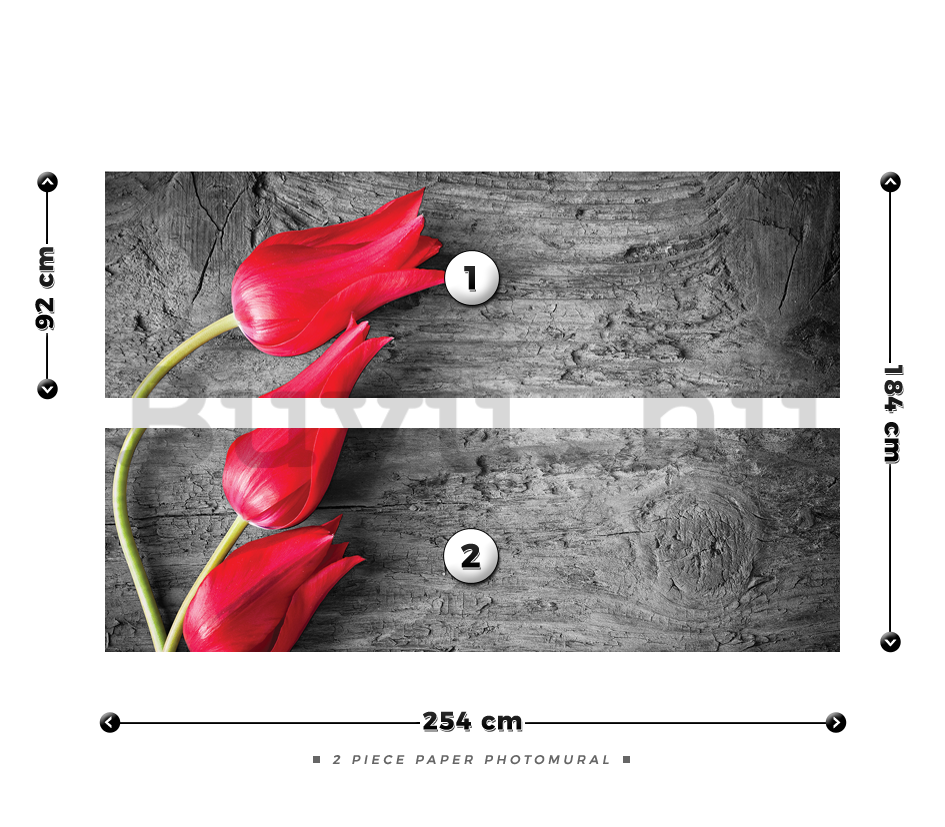 Fotótapéta: Piros tulipánok - 184x254 cm