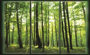Fotótapéta: Erdő (látkép az ablakból) - 184x254 cm